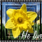 he-lives-spring400